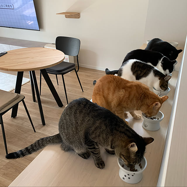 neko_daisukiさんの実例写真