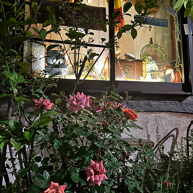tabasaさんの部屋