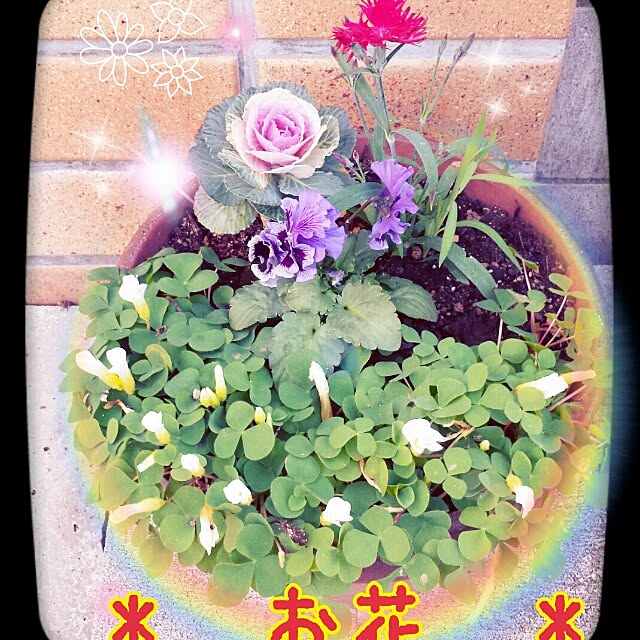 Yukieさんの実例写真