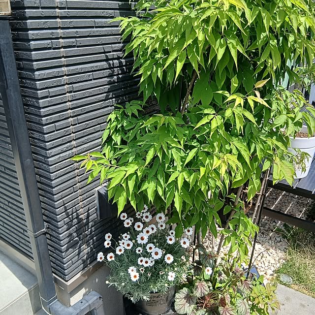 kaanaさんの部屋