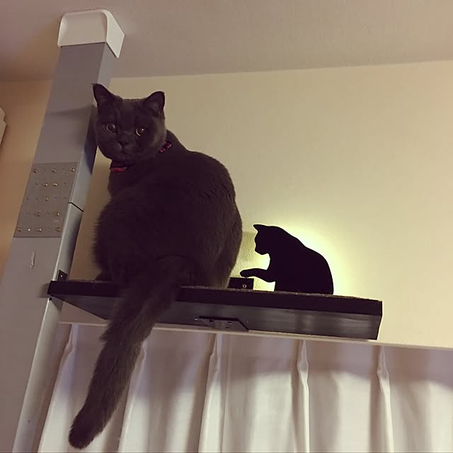 Shojiさんの実例写真