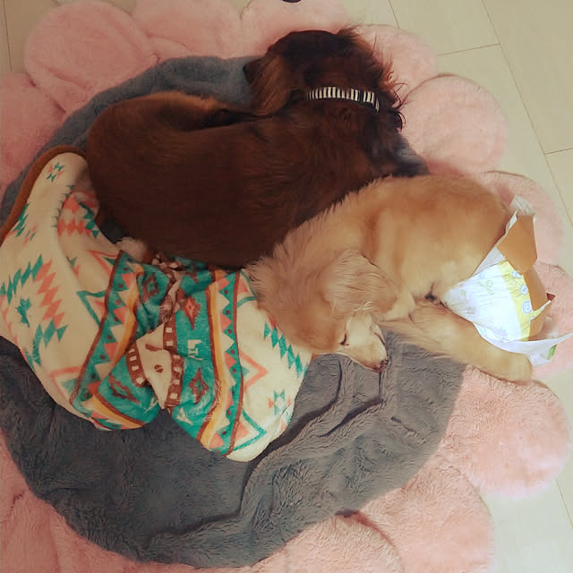 YCWさんの実例写真