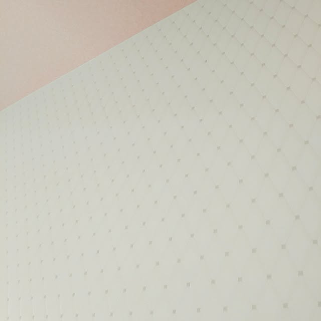 NOPAさんの実例写真