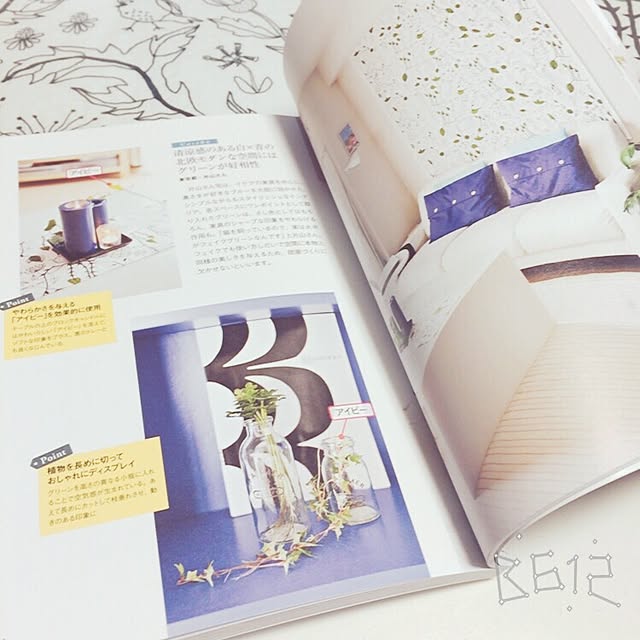 部屋全体/観葉植物/IKEA/モンステラ/雑誌掲載のインテリア実例 - 2016-01-09 21:55:22