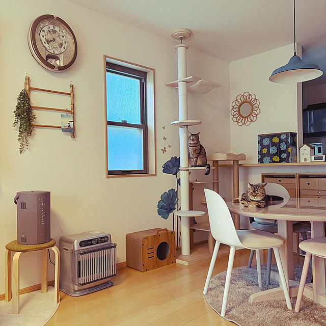 chiiさんの実例写真