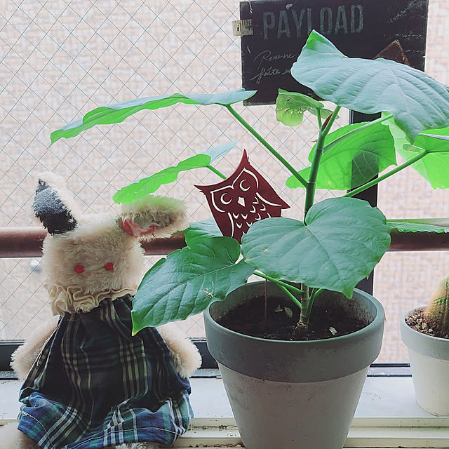 monnさんの実例写真