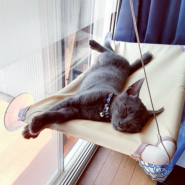 meguさんの部屋
