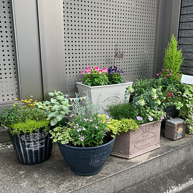 maayaさんの部屋