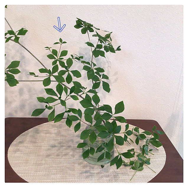 houenさんの部屋