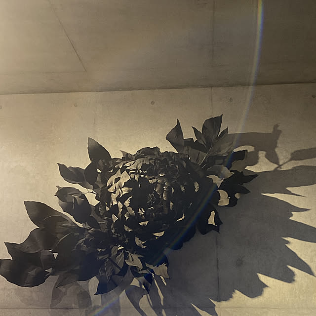 futarinoさんの実例写真