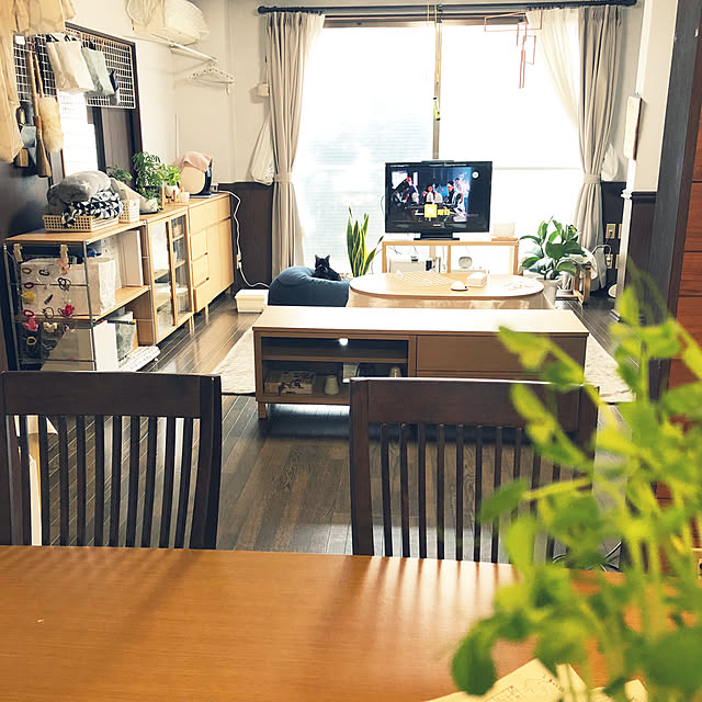 実例写真