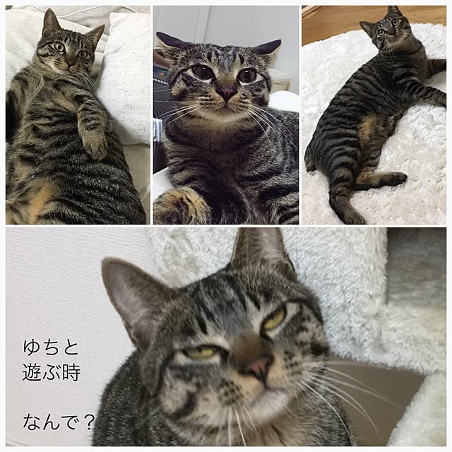 yuchiさんの実例写真