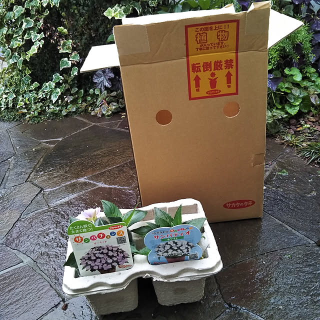 yukkoさんの実例写真
