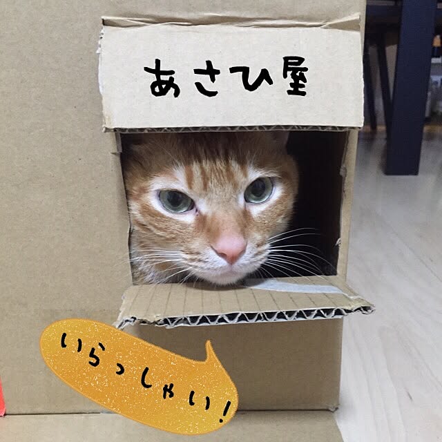 Minamiさんの実例写真