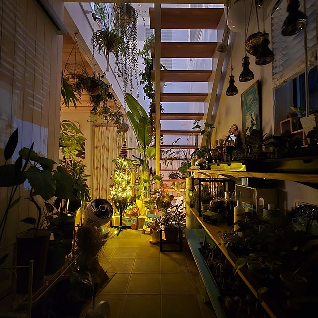 nonbiri_house_さんの部屋
