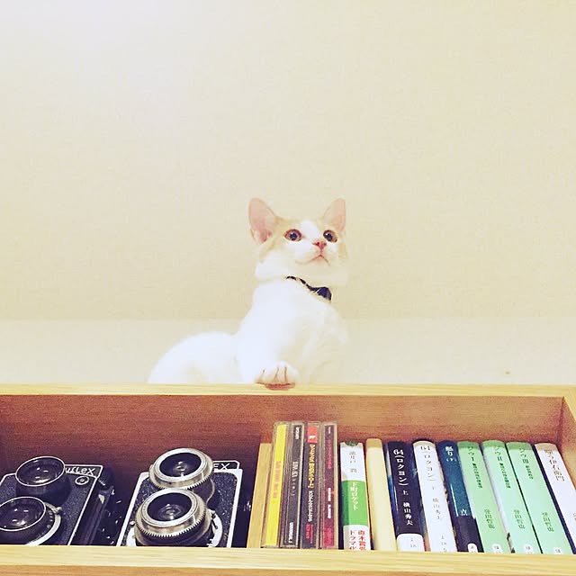 Kateさんの実例写真