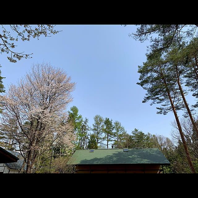 Kikko.さんの実例写真