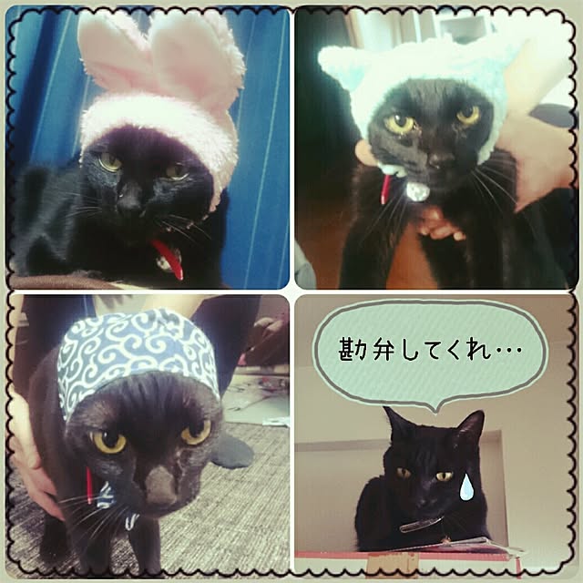 yuriaさんの実例写真