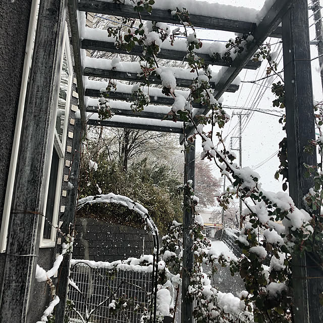 hilltopgardenさんの実例写真