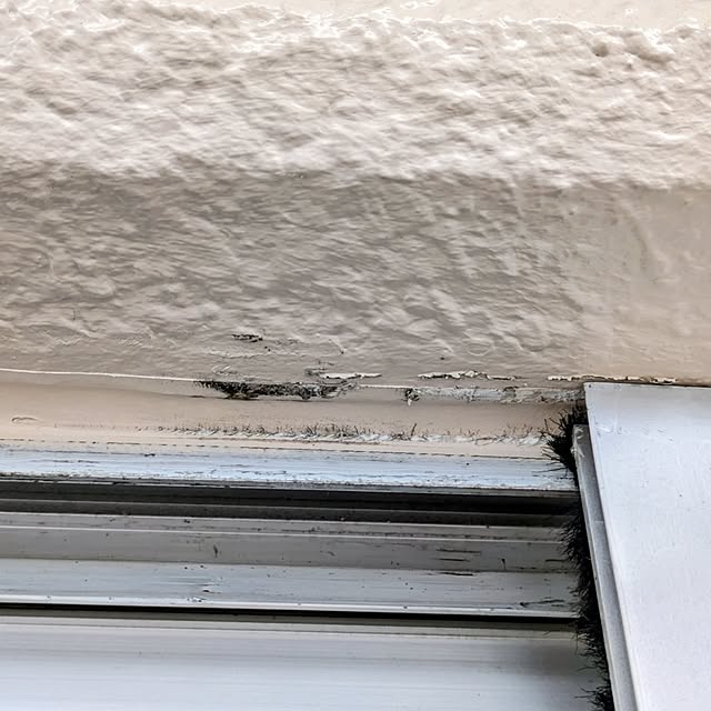 mi-saさんの部屋