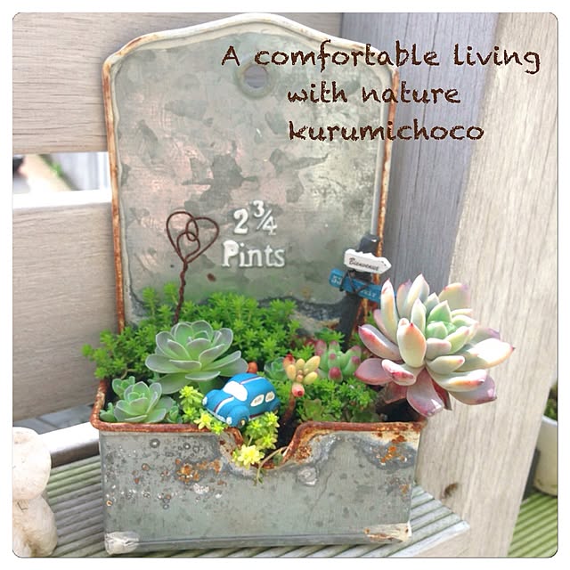 kurumichocoさんの実例写真