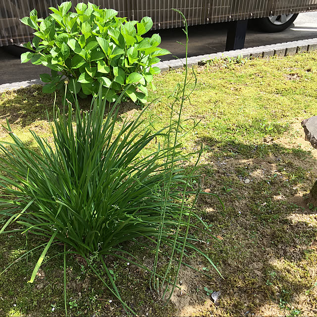 kakoさんの実例写真
