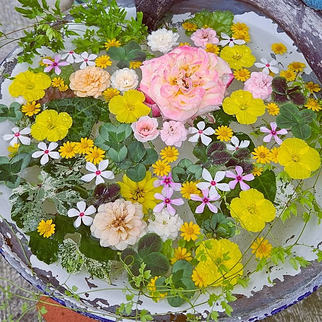 mocomocoさんの部屋