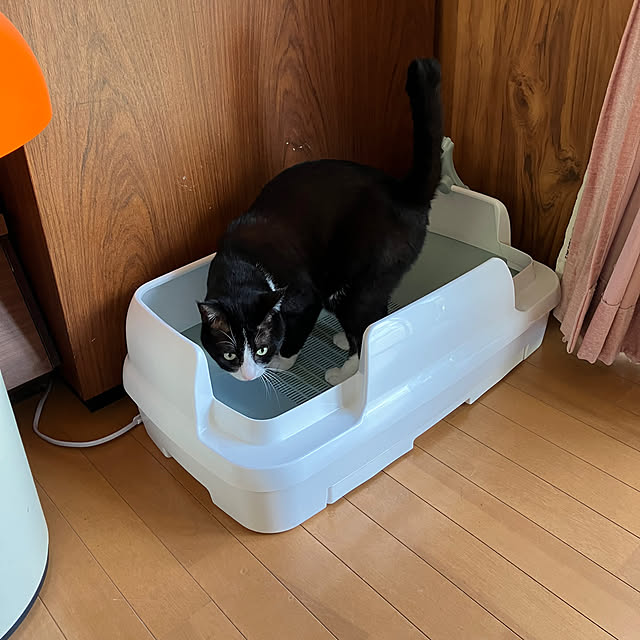 kibidangotabetaiさんの部屋