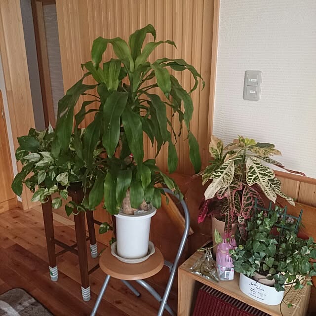 fu-sanさんの部屋