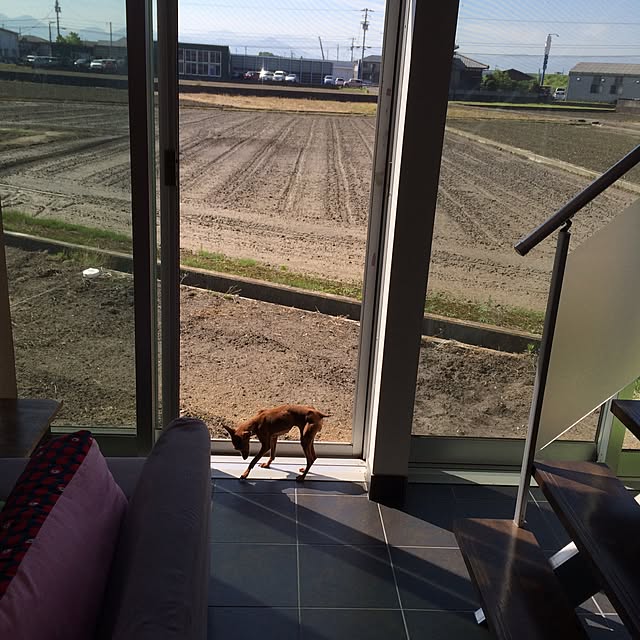 kemukujyaraさんの実例写真