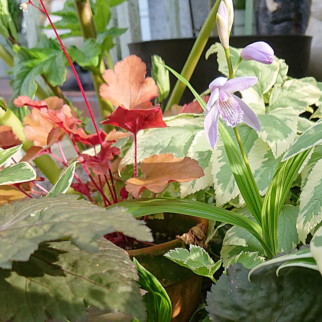 taeko0779さんの実例写真