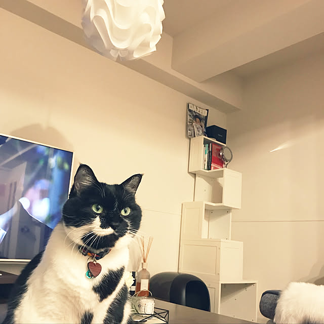 RIKU101さんの実例写真
