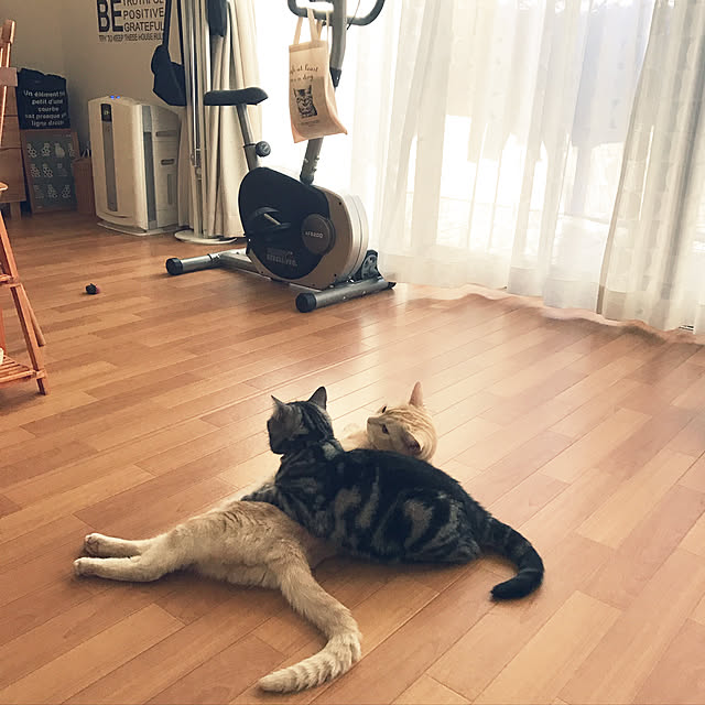 hiyupan88さんの実例写真
