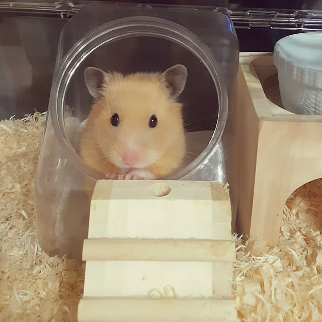 kikiさんの実例写真
