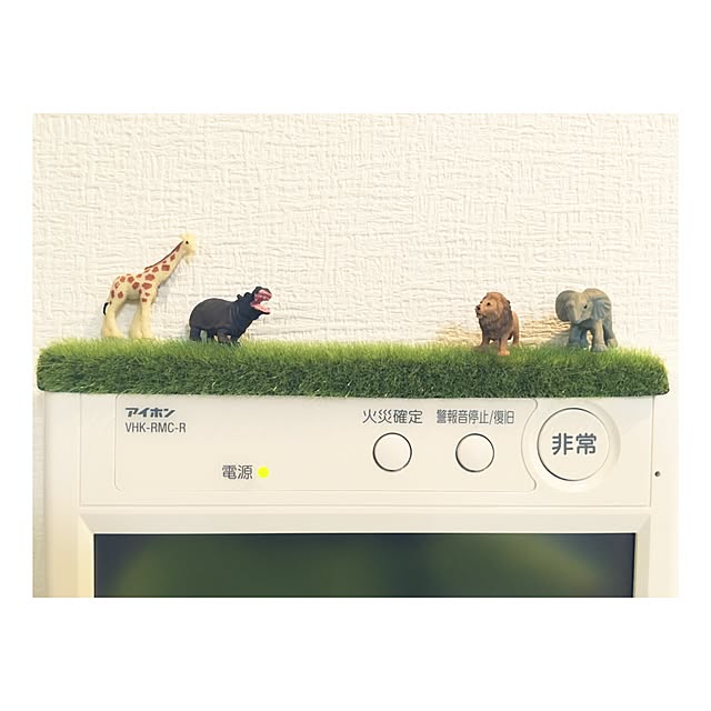 y5k8bonさんの実例写真