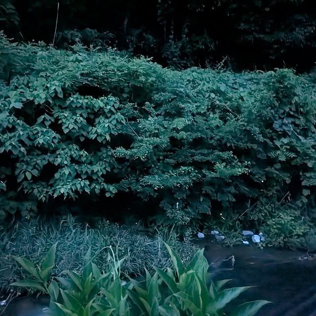 asaさんの部屋