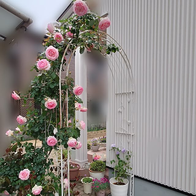 fleur-mamanさんの実例写真