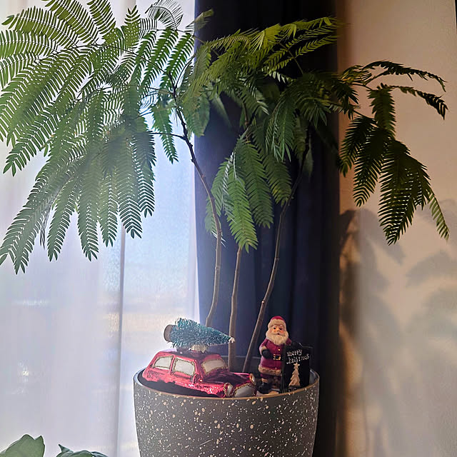 ponchanさんの実例写真