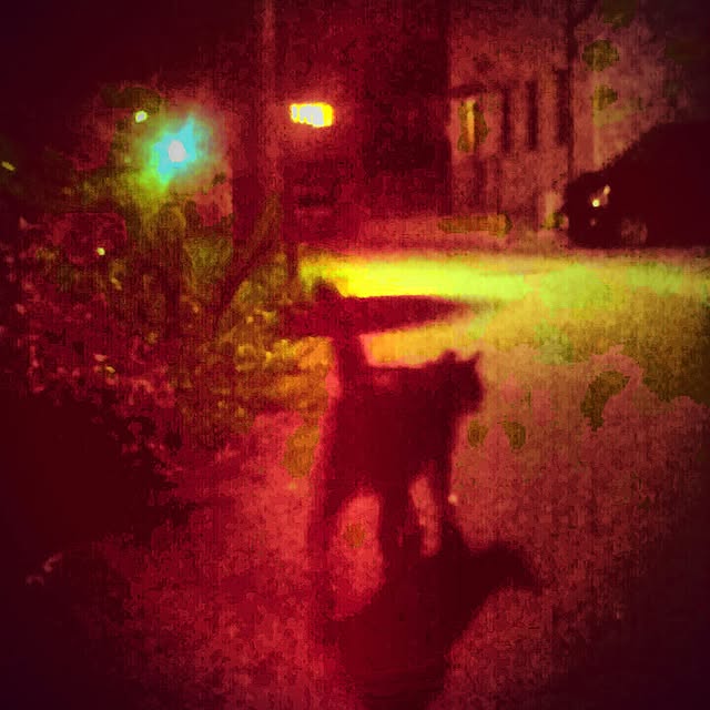 nekoandouさんの実例写真