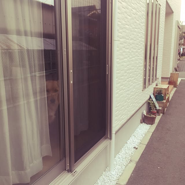 Kazueさんの実例写真