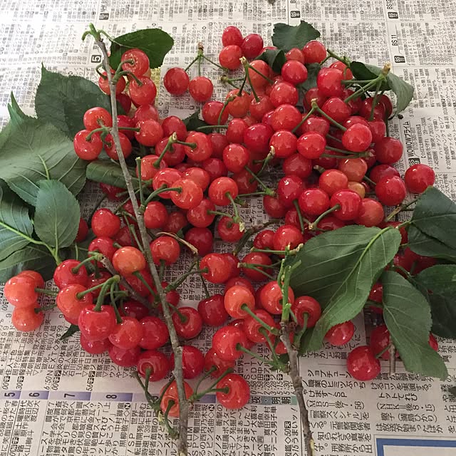 moririnさんの実例写真