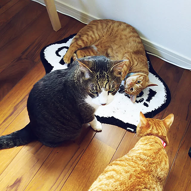 37さんの実例写真
