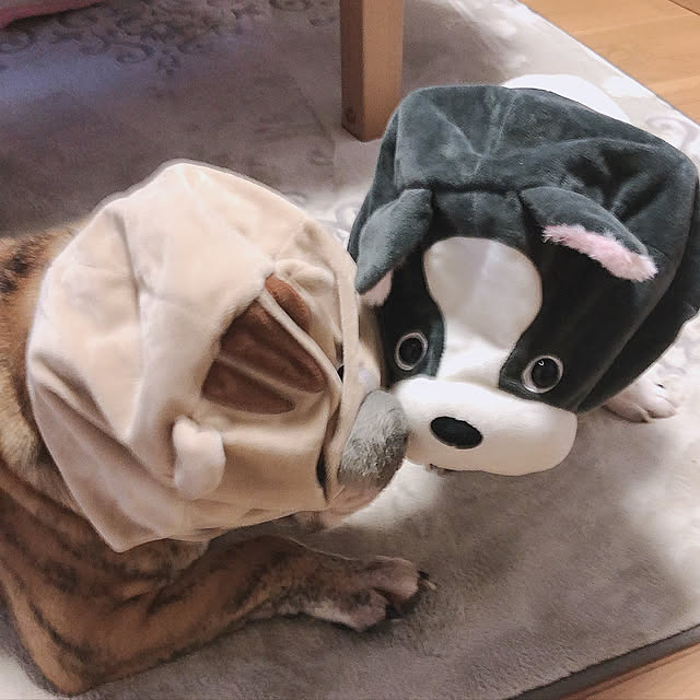 chi_gogaさんの実例写真