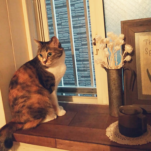 tomo1220さんの実例写真