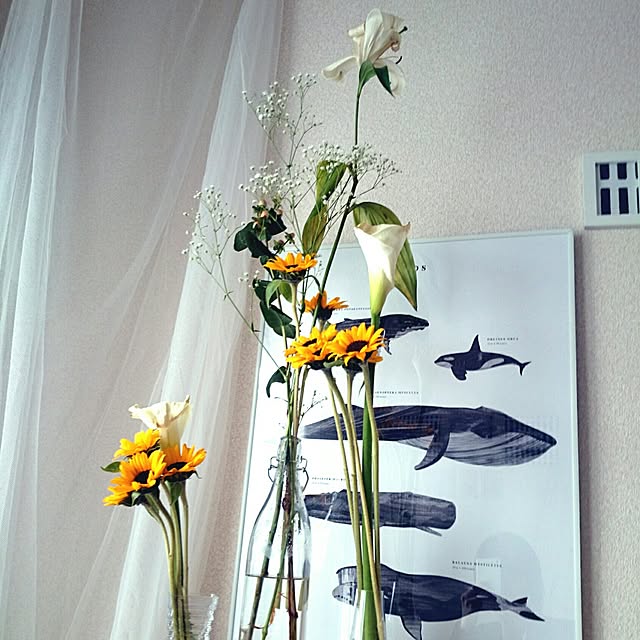 w_fox0713さんの実例写真