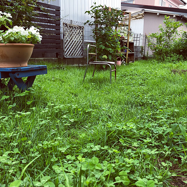 kath_kathさんの実例写真