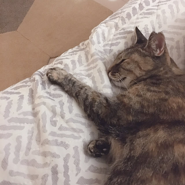 oasisさんの部屋