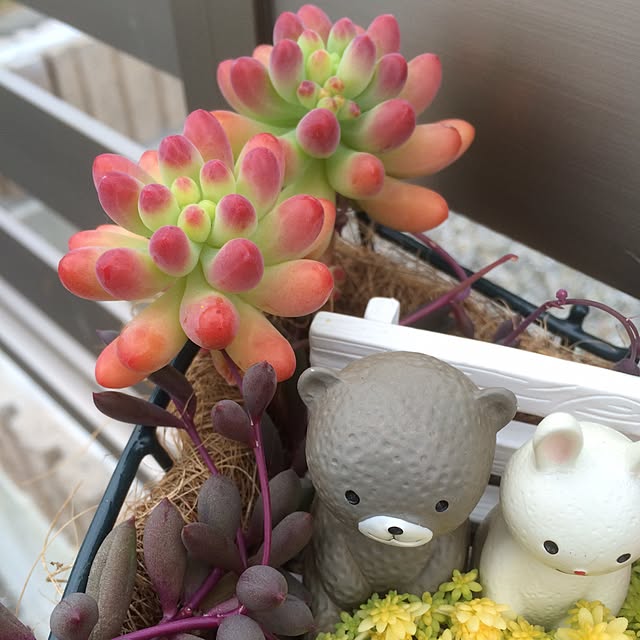moriさんの実例写真