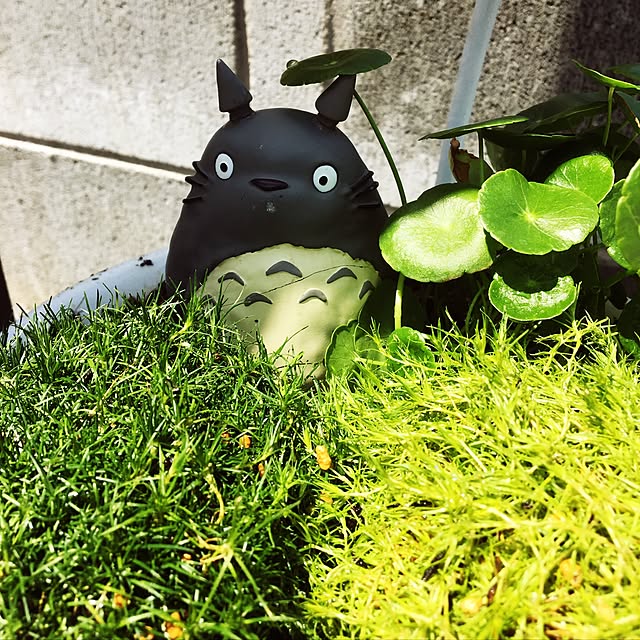 Ayumiさんの実例写真