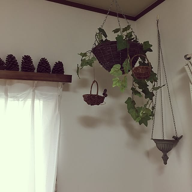 Renaさんの実例写真